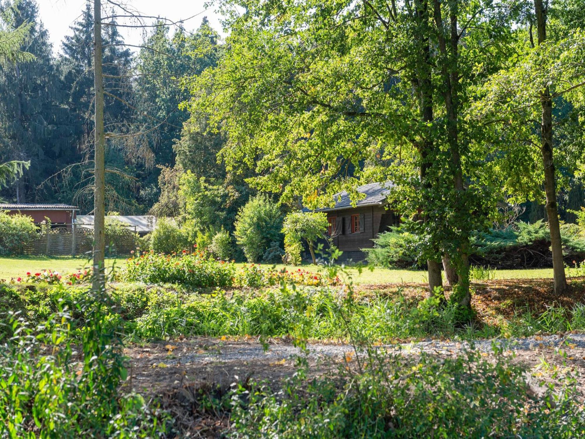 Holiday Home On A Horse Farm In The L Neburg Heath Eschede Exteriér fotografie